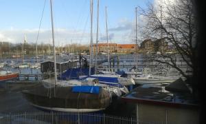 a group of boats docked in a harbor at El Puerto Bed and Breakfast in Hoorn