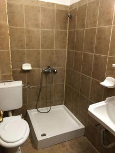 y baño con ducha, aseo y lavamanos. en Motel Topolog, en Râmnicu Vâlcea