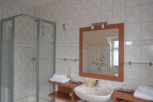 ein Badezimmer mit Waschbecken, Dusche und Spiegel in der Unterkunft Gästewohnung Elström in Dresden + 2 Fotos