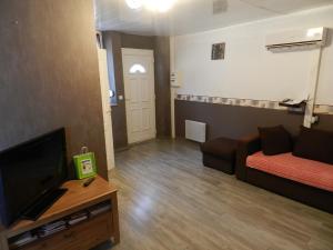 TV a/nebo společenská místnost v ubytování la maison du parc