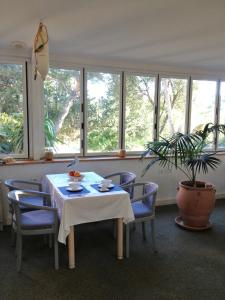 Fotografie z fotogalerie ubytování Hôtel De La Mer v destinaci La Croix-Valmer