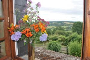 Gallery image of Gite De Campagne in Lessard-et-le-Chêne