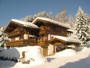 ein schneebedecktes Gebäude mit schneebedeckten Bäumen in der Unterkunft Ferienwohnung Johann Niedermoser in Fieberbrunn