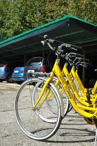 2 vélos jaunes garés sur un parking dans l'établissement Clipper, à Pesaro