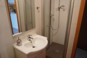 Kúpeľňa v ubytovaní Apartment Kozina + 37 fotografií