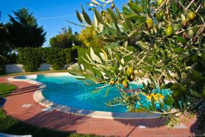 a blue swimming pool with a tree in the foreground at Agriturismo San Vito in Crocemaroggia