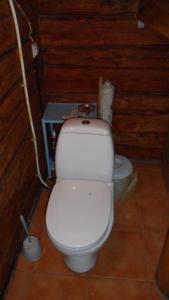 a bathroom with a white toilet in a room at Guest house Oaze in Miglāni