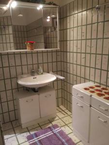 La salle de bains est pourvue d'un lavabo et d'un miroir. dans l'établissement Ferienwohnung Sielbeck, Urlaub mit Hund, WLAN verfügbar, à Eutin