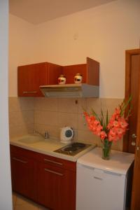 Kuhinja oz. manjša kuhinja v nastanitvi Apartment Dakic