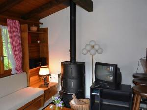 ein Wohnzimmer mit einem Herd und einem TV in der Unterkunft Apartment Ismene- Chalet by Interhome in Gstaad