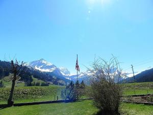 eine Flagge auf einem Feld mit Bergen im Hintergrund in der Unterkunft Apartment Bijou Arnensee by Interhome in Gsteig