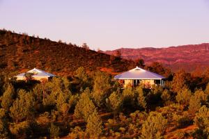 a house in the middle of a field of trees at Rawnsley Park Station in Flinders Ranges