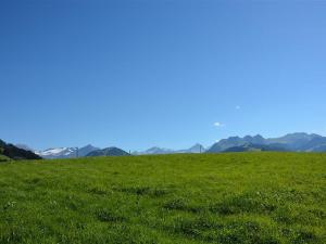 Náttúran í nágrenni íbúðarinnar