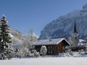 Gallery image of Alps Villa in Mellau