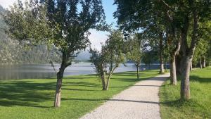 Příroda nedaleko apartmánu + 20 fotografií