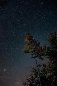 a starry night with a tree in the foreground at Apartments Andrić in Kaludjerske Bare