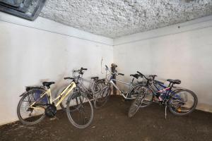Jízda na kole v ubytování First Inn Hotel nebo okolí