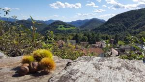 un cactus seduto su una roccia che domina una valle di Rustico a Miglieglia