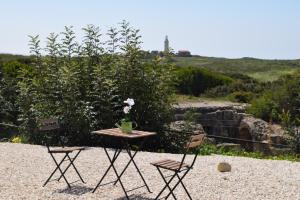 two chairs and a table with a vase of flowers on it at Ariadne Apartments in Paphos City