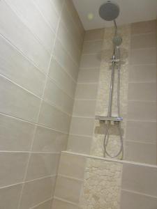 a shower with a shower head in a bathroom at Le Vicus in Eckbolsheim