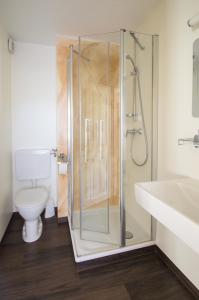 a bathroom with a shower with a toilet and a sink at Bauernhof Kasleitner in Zell am Moos