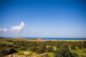 a view of the ocean from the top of a hill at Ariadne Apartments in Paphos City