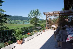 a patio with potted plants and a wooden pergola at Bauernhof Kasleitner in Zell am Moos