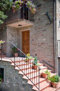a set of stairs with potted plants in front of a building at Agriturismo La Casina in Caprese Michelangelo