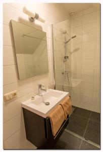 uma casa de banho com um lavatório e um chuveiro com um espelho. em B&B, Brasserie Lakerhof em Ohé en Laak