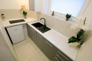 Kuchyň nebo kuchyňský kout v ubytování Apartament Esja