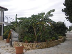 Zahrada ubytování B&B Terra Marique