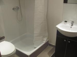 ブダペストにあるSynagouge Astoria Guest Houseのバスルーム(シャワー、トイレ、シンク付)