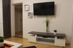 TV a/nebo společenská místnost v ubytování Familienapartment Sunnseitn