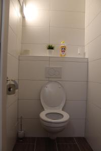 Koupelna v ubytování Familienapartment Sunnseitn