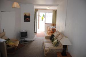 een woonkamer met een bank en een televisie bij Huccaby Tor Apartmernt in Torquay