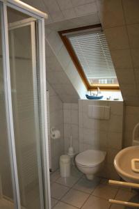カロリーネンジールにあるFerienwohnung Mühlenblick 3のバスルーム(シャワー、天窓付きトイレ付)が備わります。
