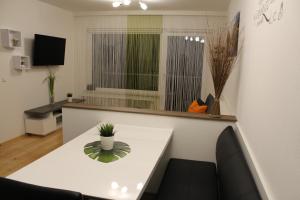 TV a/nebo společenská místnost v ubytování Familienapartment Sunnseitn