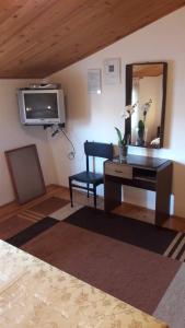 TV a/nebo společenská místnost v ubytování Apartments and Rooms Ana Pomer 217