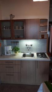Kuchyň nebo kuchyňský kout v ubytování Apartments and Rooms Ana Pomer 217