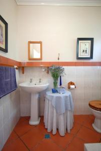 a bathroom with a sink and a toilet at Guinea Fowl Lodge in Knysna