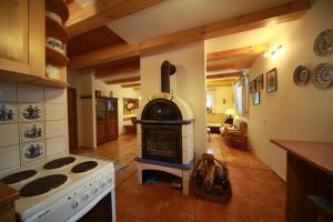 a kitchen with a stove top oven in a room at Chalupa U Potoka Javorna in Javorná