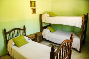 2 literas en una habitación con paredes verdes en Cabañas Naite en San Rafael