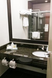 Koupelna v ubytování Victoria Inn Flin Flon