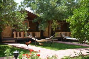a house with a hammock and a chicken in the yard at Caretta Caretta Pension in Cıralı