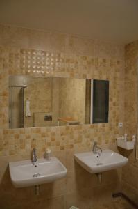 Koupelna v ubytování Apartments Villa Viola