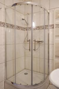 a shower with a glass enclosure in a bathroom at Pension Elise in Wolkramshausen