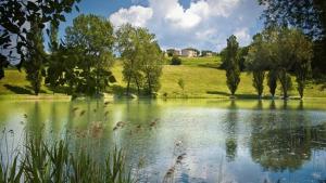 a body of water with trees and a field at Appartamenti Cenni - Relais su Lago in Varsi