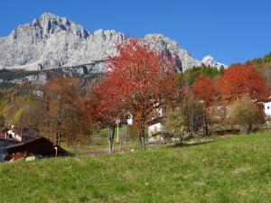 um grupo de árvores num campo com montanhas ao fundo em Hotel Garnì posta em Forno di Zoldo