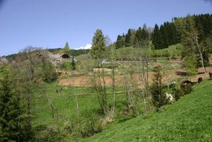 Galeriebild der Unterkunft Sternen-Chalet in Grassendorf