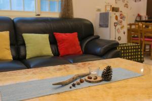 Posezení v ubytování Green Park Homestay